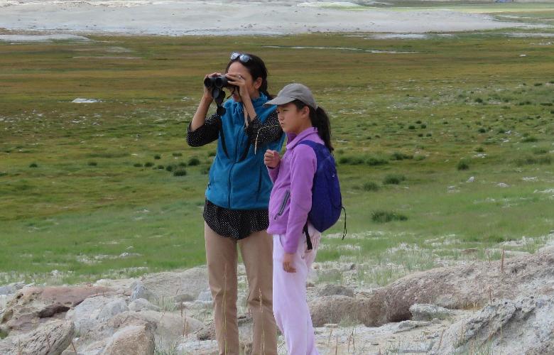 Armature birder @ Tsokar, Ladakh-India