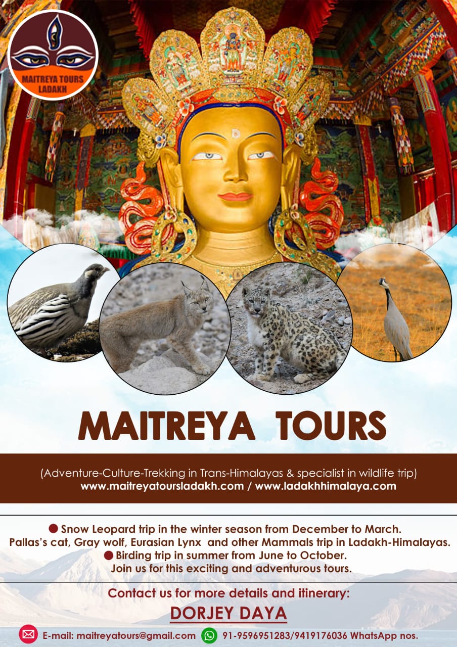 MAITREYA TOURS
